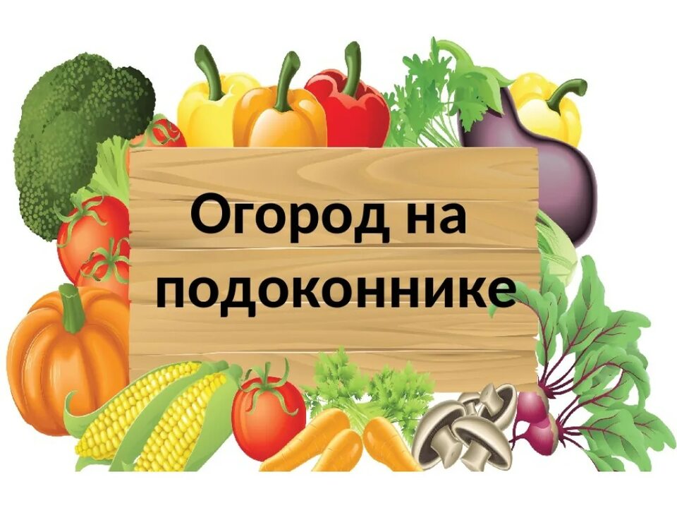 Огород на подоконнике
